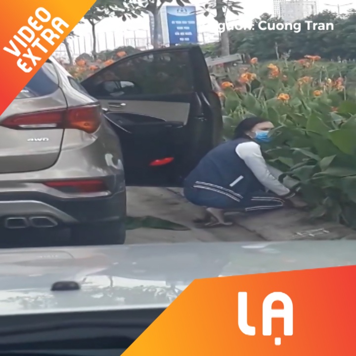 Nguoi phu nu di oto nho trom hoa o ven duong hinh anh