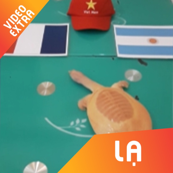 Rua vang VN chon Phap, cho vang 'tien tri' theo phe Messi hinh anh