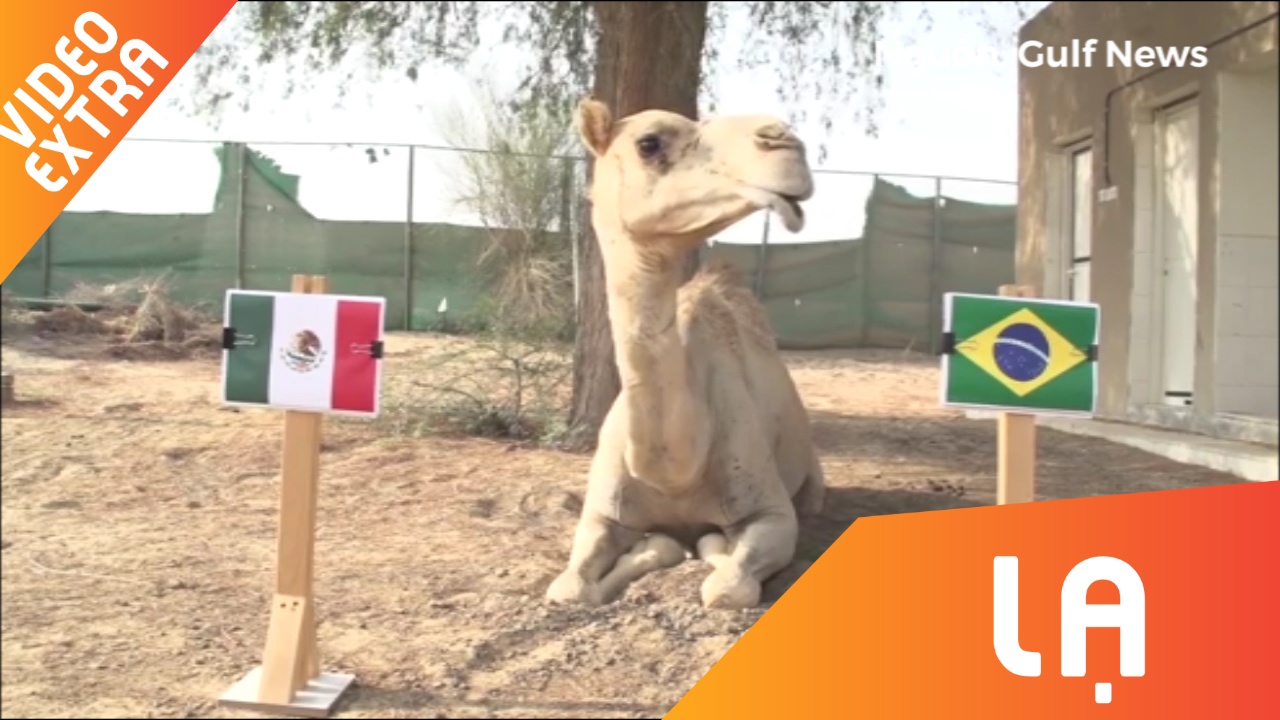 Lac da Shaheen du doan Neymar se lai toa sang hinh anh