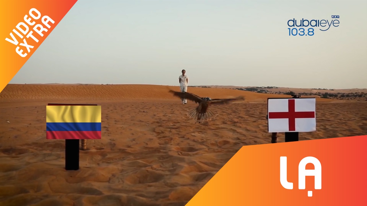 'Tien tri' chim ung quyet doan, chon Tam Su thang Colombia hinh anh