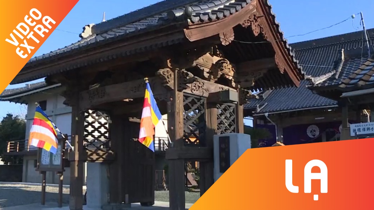 Nguoi dan ong ban ngay lam nha su, toi lam DJ o Nhat hinh anh