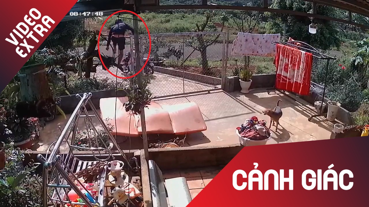 Nguoi dan ong cho vo con di trom lan hinh anh