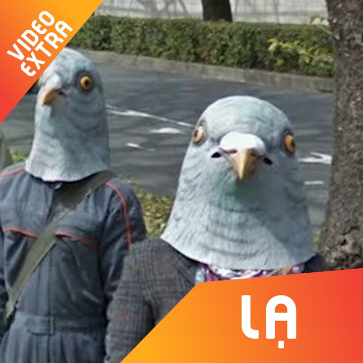 'Nguoi dau chim' bi an khi soi Google Map o Nhat Ban hinh anh