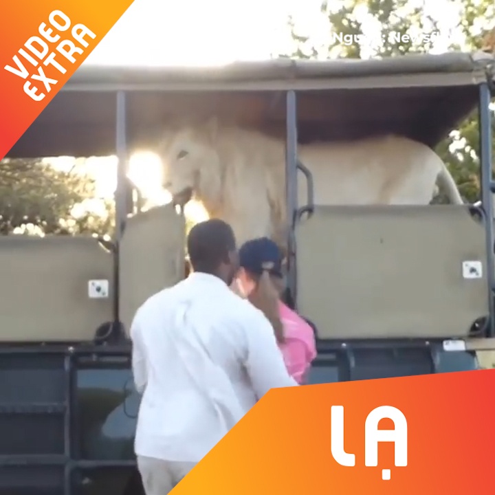 Dan su tu bat ngo tran len xe chua day hoc sinh hinh anh