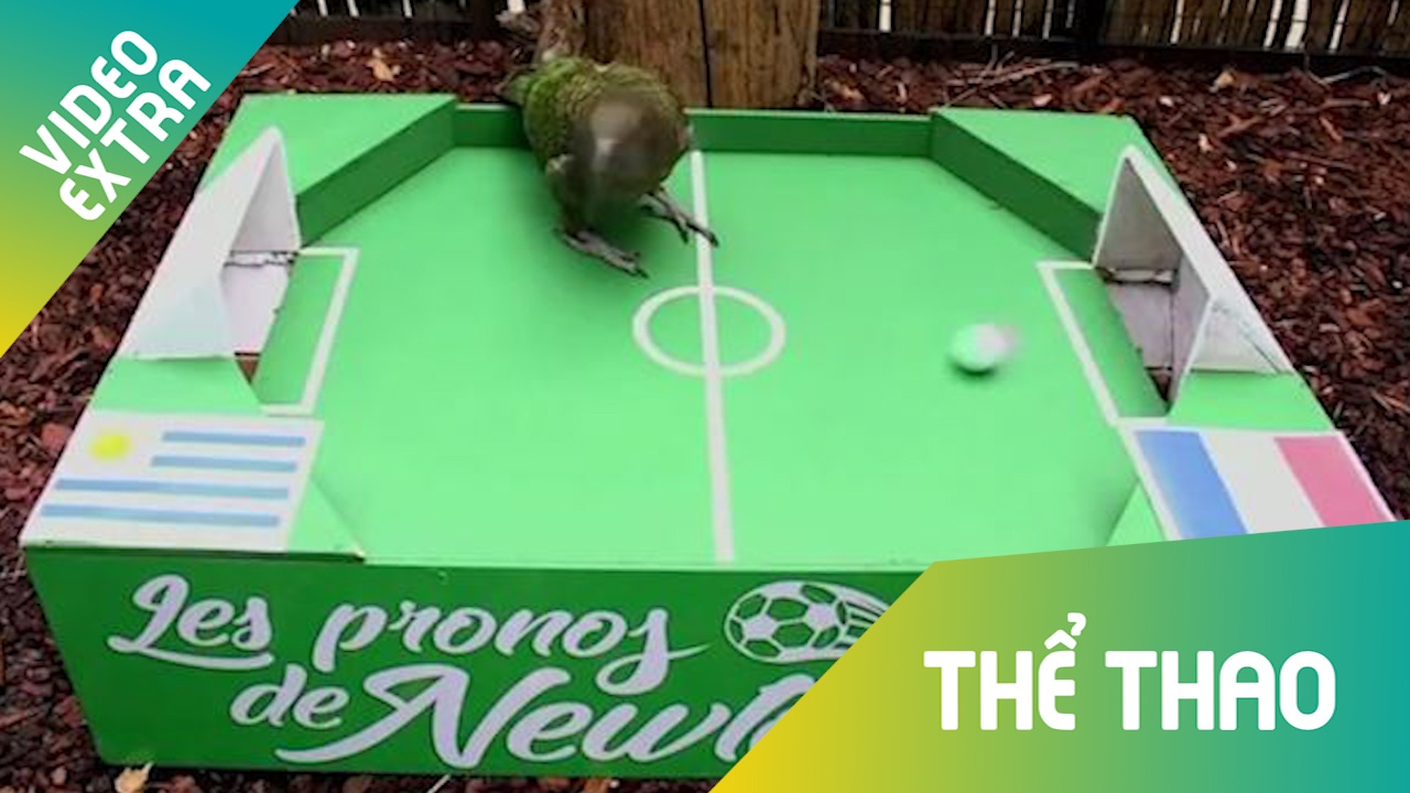 Vet 'tien tri' Newton du doan Phap thang gion gia truoc Uruguay hinh anh