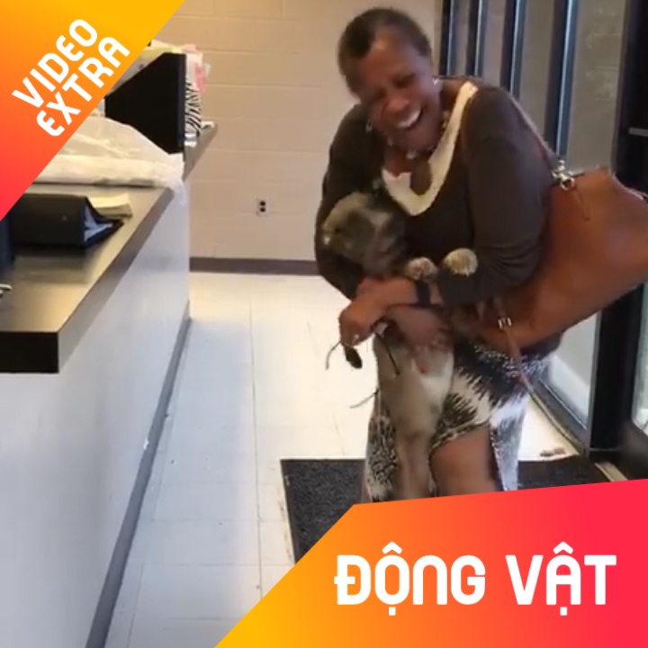 Chu cho vui tot do khi gap lai chu sau 2 tuan hinh anh