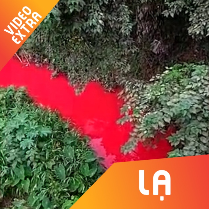 Dong song chuyen sang mau do nhu mau chi sau mot dem o Trung Quoc hinh anh