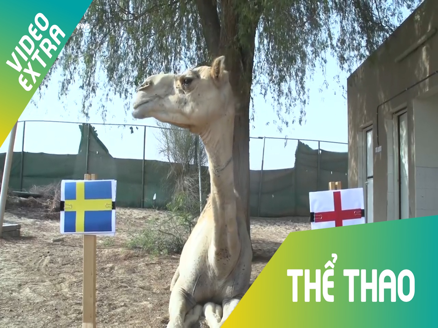 Tien tri lac da 'phan' Anh tham bai truoc Thuy Dien hinh anh