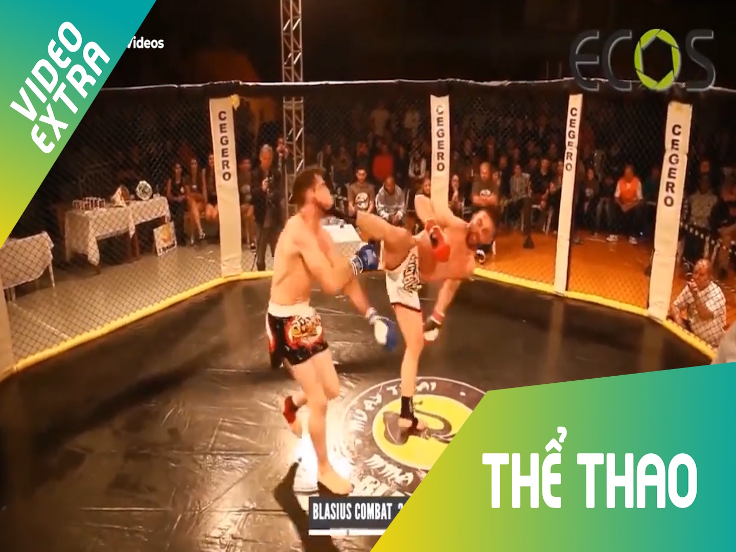 Nhung cu da khien doi thu guc nga ngay tren san MMA hinh anh