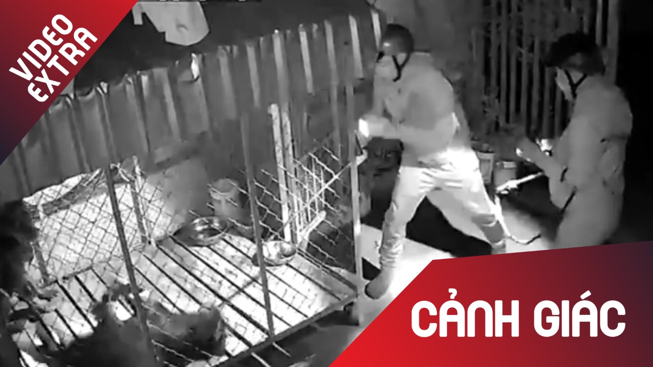 'Cau tac' be 2 lop khoa bat 2 con cho quy trong tich tac hinh anh