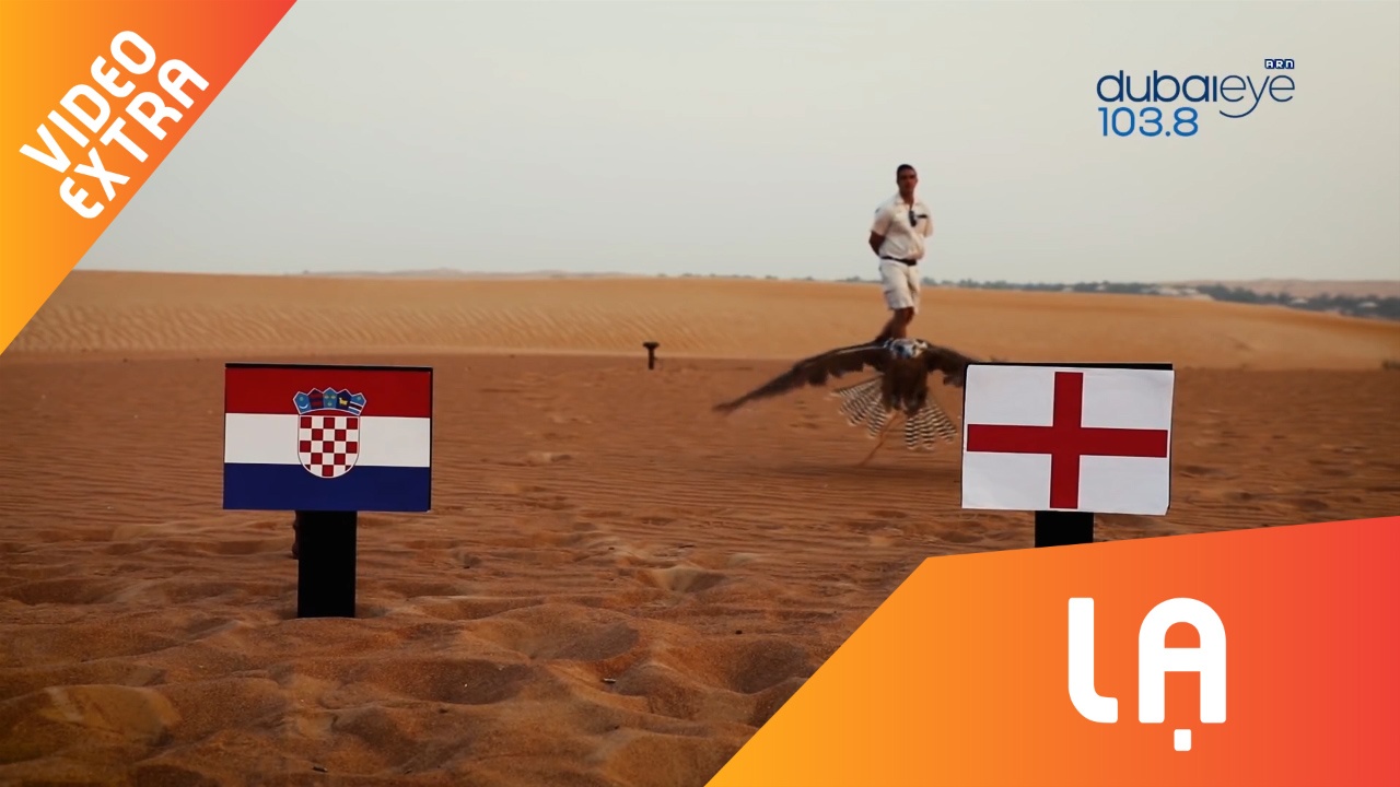 Hamster ru 'tien tri' chim ung chon Anh danh bai Croatia hinh anh