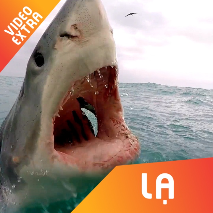 Nhung pha ca map bat ngo xuat hien khi quay phim hinh anh