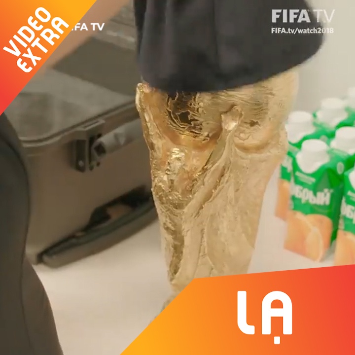 Cup vang da den SVD Moscow's Luzhniki san sang cho tran chung ket hinh anh