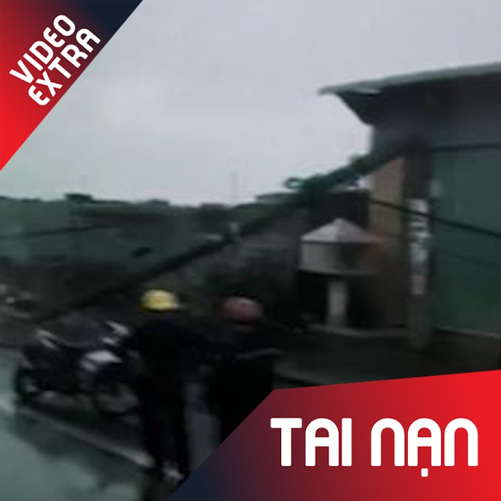 Mua gio manh lam nga hang loat cot dien o Ba Ria hinh anh