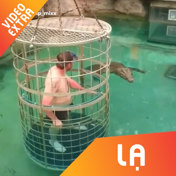 Nguoi dan ong thu thach ngam nhin ca sau tu long sat hinh anh