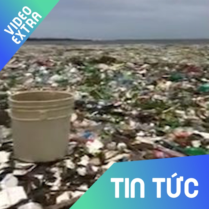 'Thien duong' Caribbean ngap chim trong rac nhua hinh anh