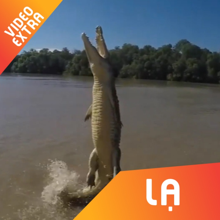 Ca sau bay khoi mat nuoc dop moi nhu phim kinh di hinh anh