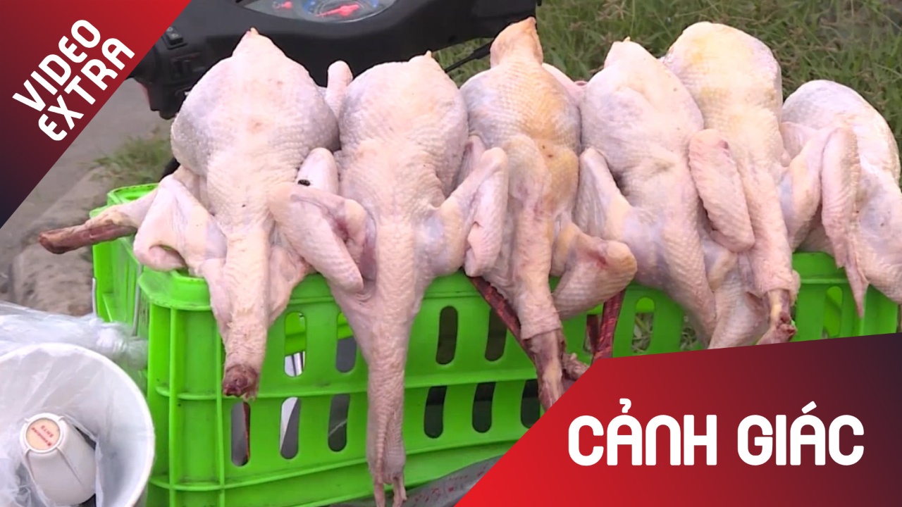 Ga gia re '5 khong' duoc bay ban tran lan tai TP.HCM hinh anh