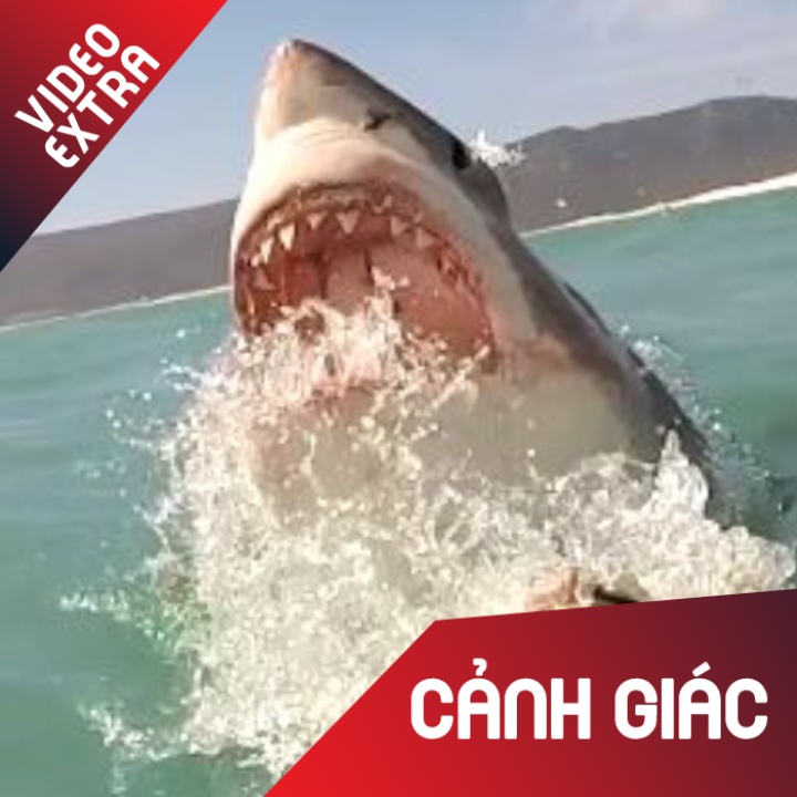 Can canh ca map bay khoi mat nuoc dop moi hinh anh