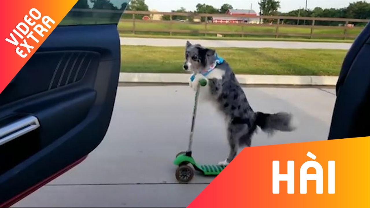 Chu cho tham gia trao luu nhay ngoai xe hoi hinh anh