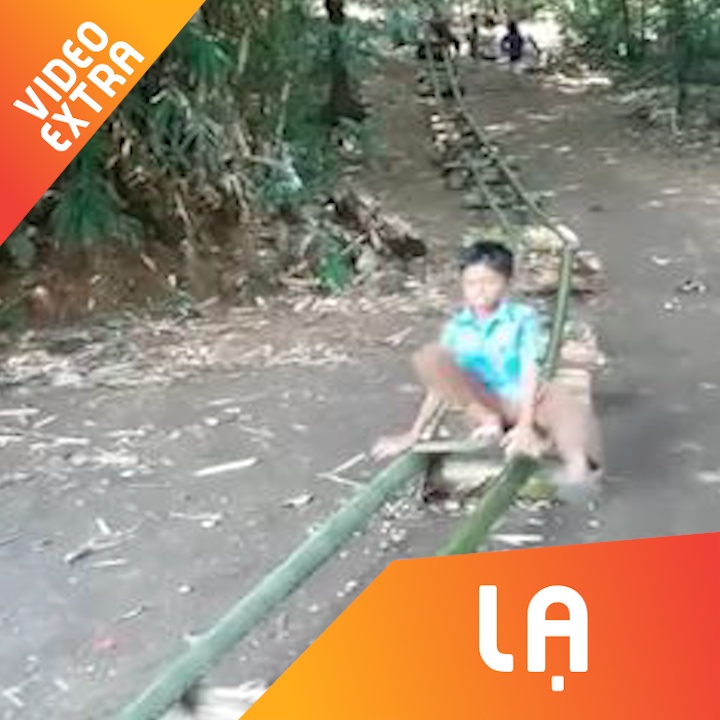 Tre em vung que tao mang truot bang than cay hinh anh