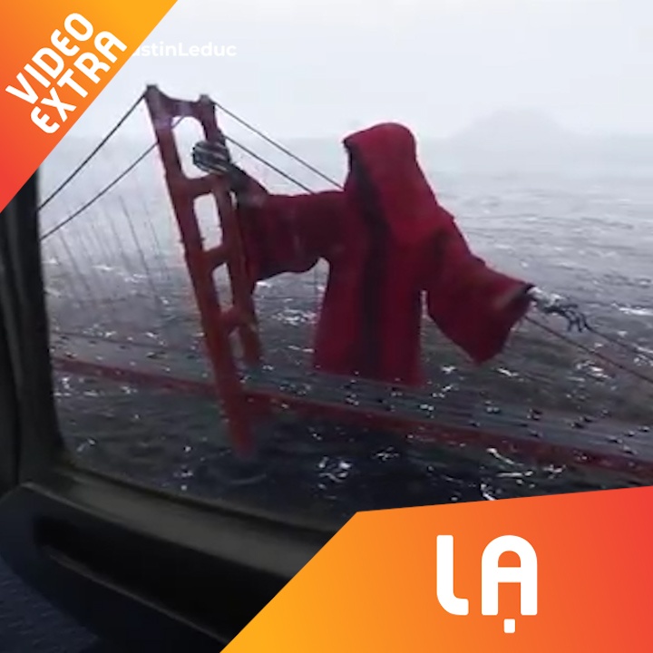 Mo hinh quai vat khong lo canh cau cho phuong tien di chuyen hinh anh