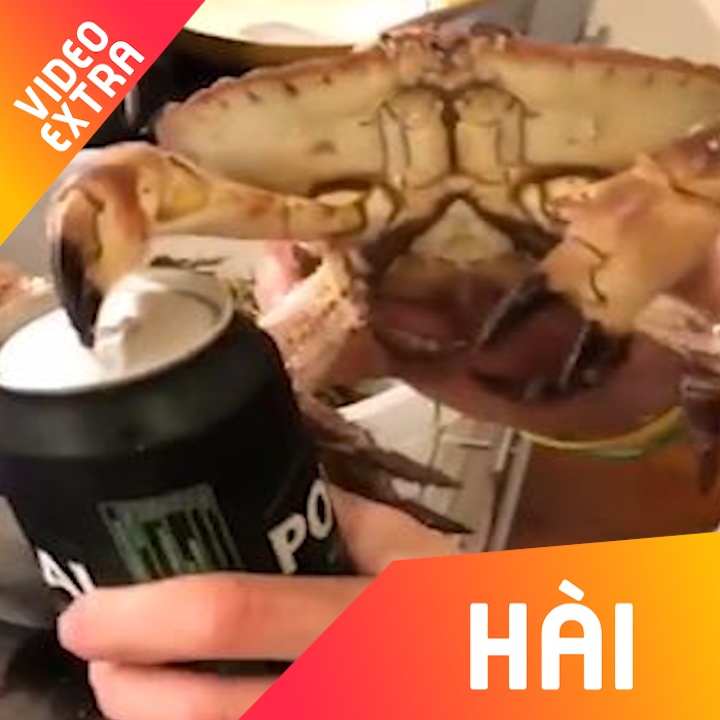 Chu cua biet kep cang de khui lon bia hai huoc hinh anh