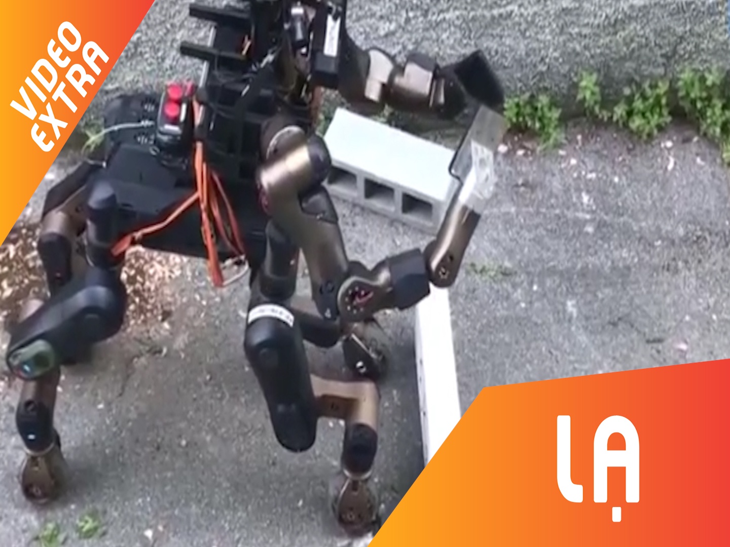 Robot Nhan ma giup ung pho tham hoa hinh anh