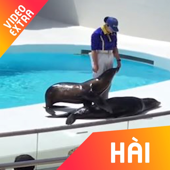 Hai cau 'goi' ban day choi cung, khien nguoi xem thich thu hinh anh