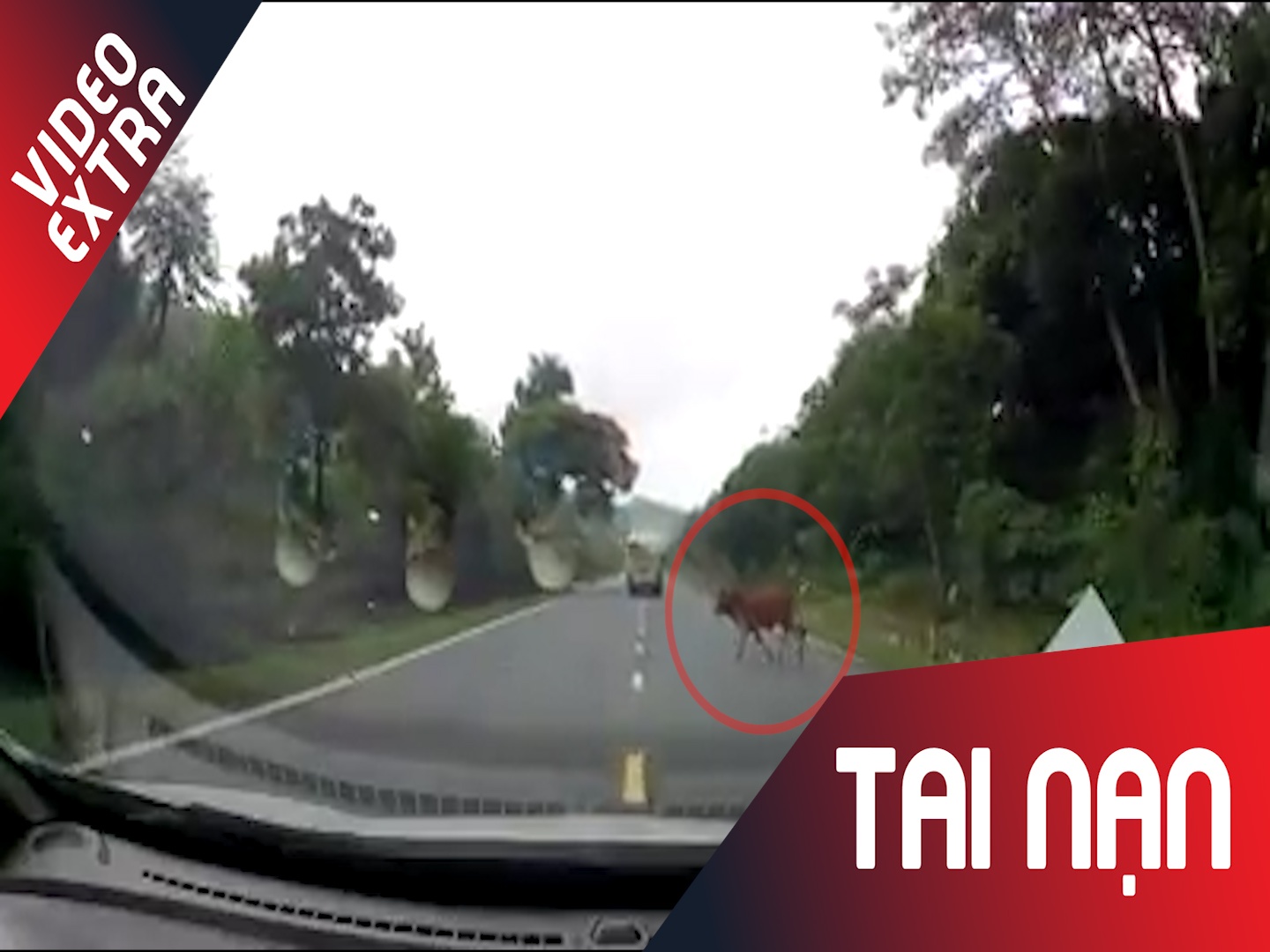 Be qua duong lao thang vao dau oto hinh anh