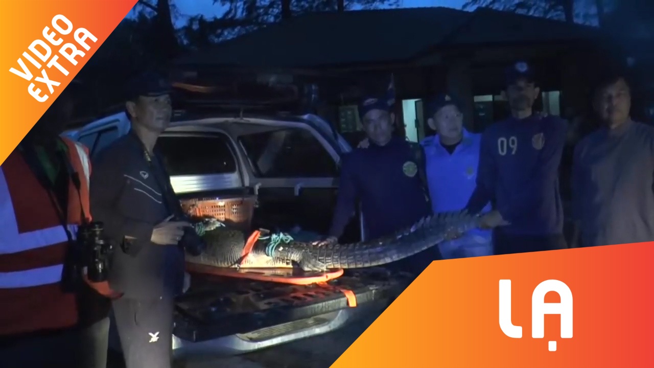 Bat gon ca sau lam loan dao Phukhet trong vong hon chuc ngay hinh anh