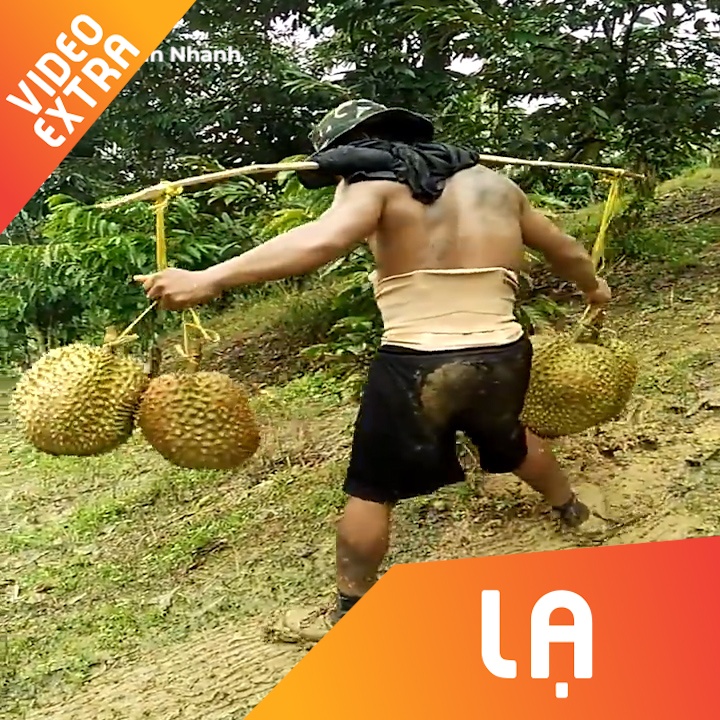 Truot tren doi dat de van chuyen sau rieng hinh anh