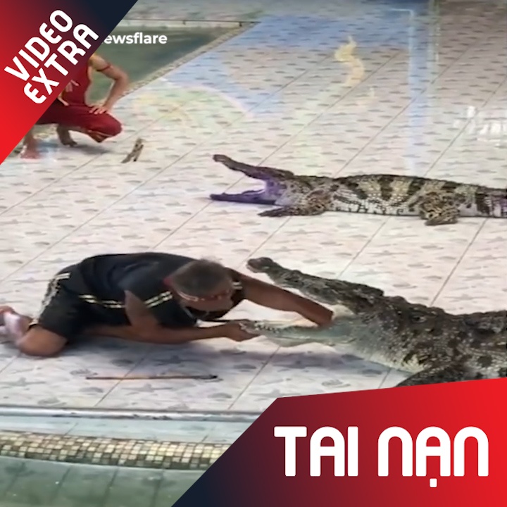 Ca sau bat ngo can tay dien vien xiec chay mau hinh anh