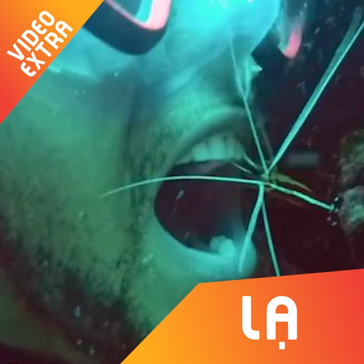 Danh rang bang tom doc dao duoi dai duong hinh anh