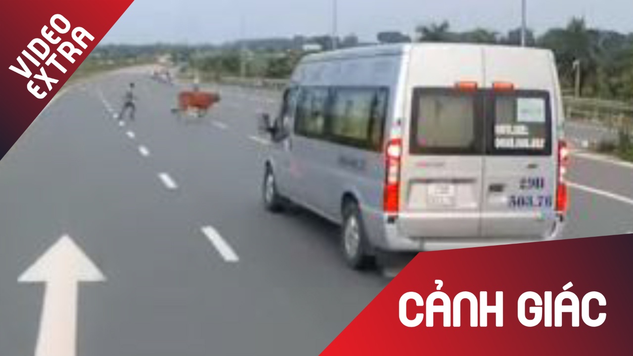 Dat bo qua duong, nguoi chan bo suyt bi oto tong thang hinh anh