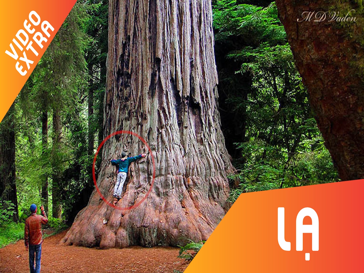 Nhung co thu nghin nam cao bang toa nha 30 tang hinh anh