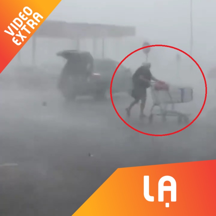 Bat chap bao lon, nguoi phu nu y thuc tra xe day ve noi quy dinh hinh anh