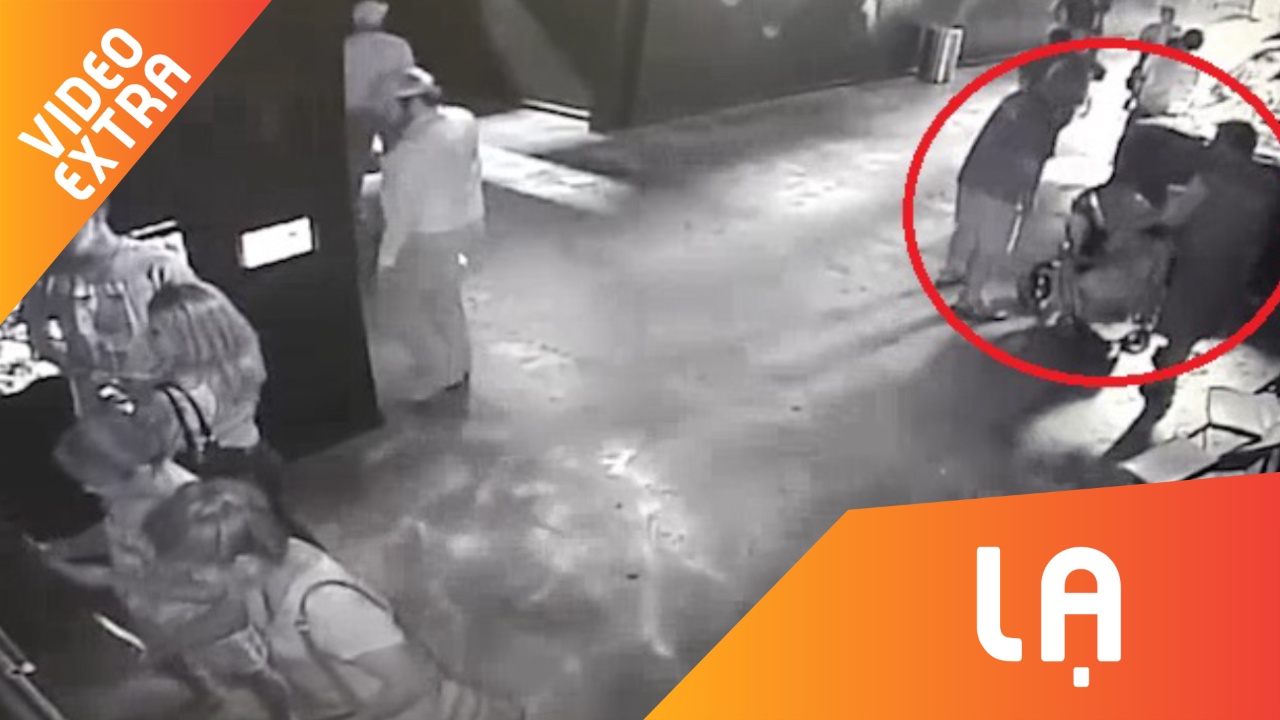 Vao thuy cung bat trom ca map mang ve nha nuoi o My hinh anh