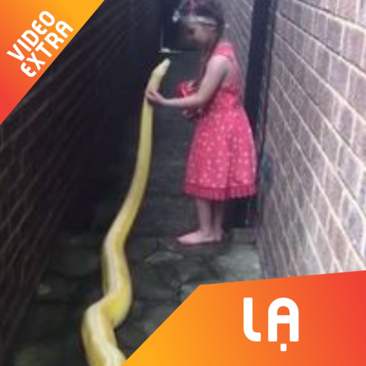 Ky la be gai 5 tuoi choi dua voi tran hinh anh