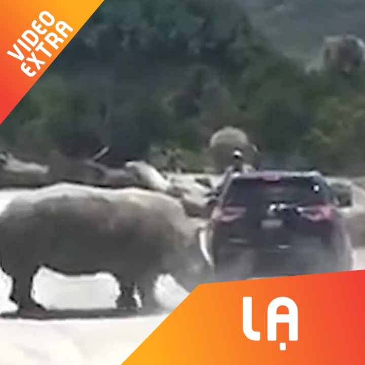 Te giac dien cuong tan cong oto o Mexico hinh anh