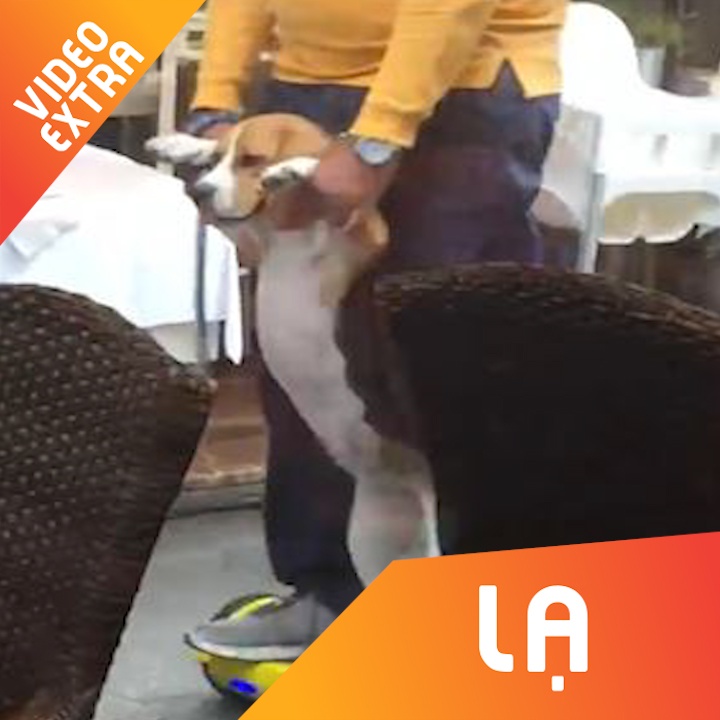 Chu cho biet truot van cung chu di dao ben duong hinh anh