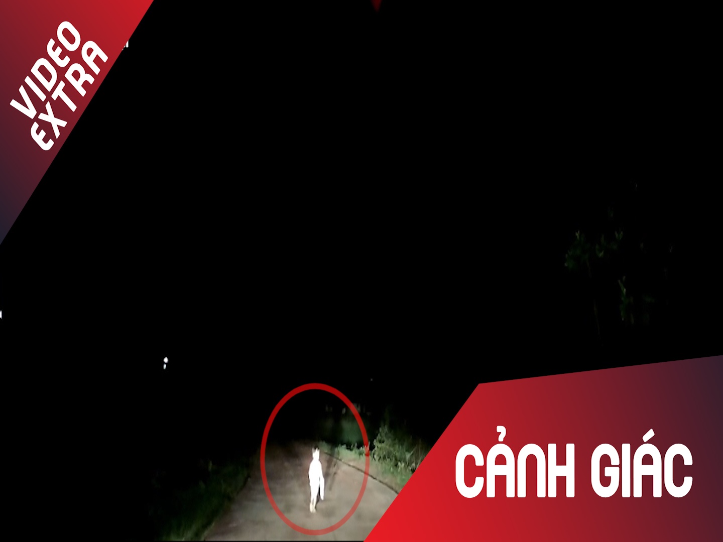 Thot tim cau be bat ngo xuat hien giua duong khien tai xe thang gap hinh anh