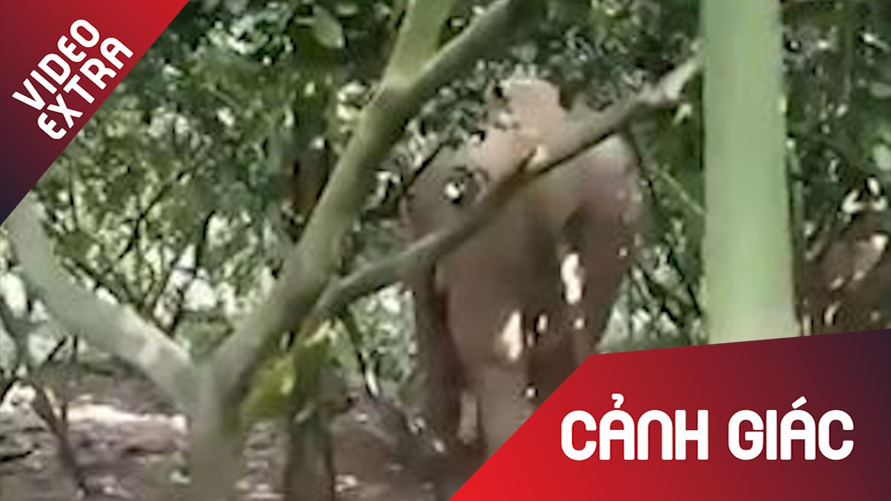 Voi keo den pha sap nha cua cua nguoi dan lien tuc hinh anh