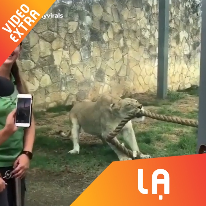 Su tu the hien suc manh khi keo co thang ca 3 nguoi dan ong hinh anh