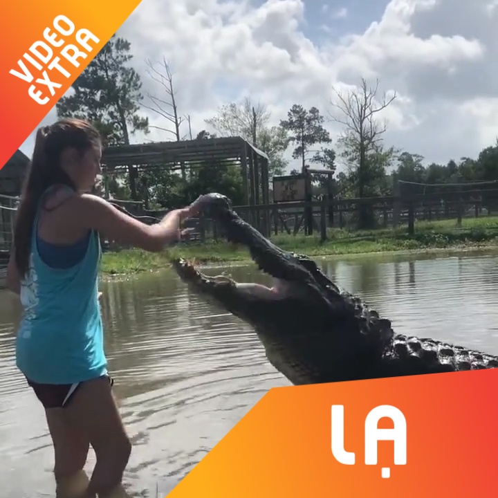 Co gai khong biet so, loi xuong ho tu tay cho ca sau an hinh anh