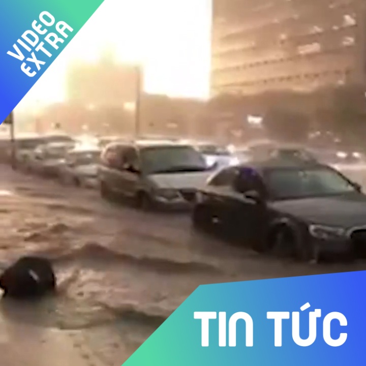 Canh tuong 'pho cung nhu song' sau khi mua o New York, My hinh anh