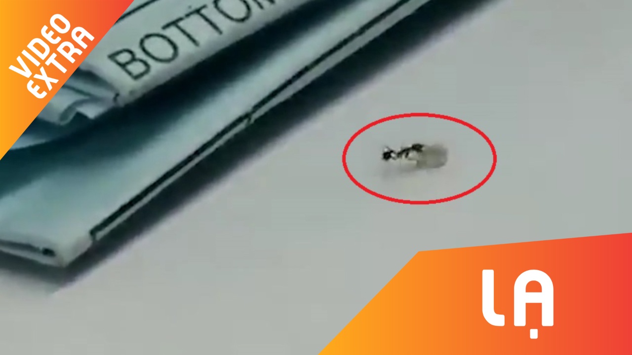 Kien 'an trom' kim cuong tu cua hang da quy o My hinh anh