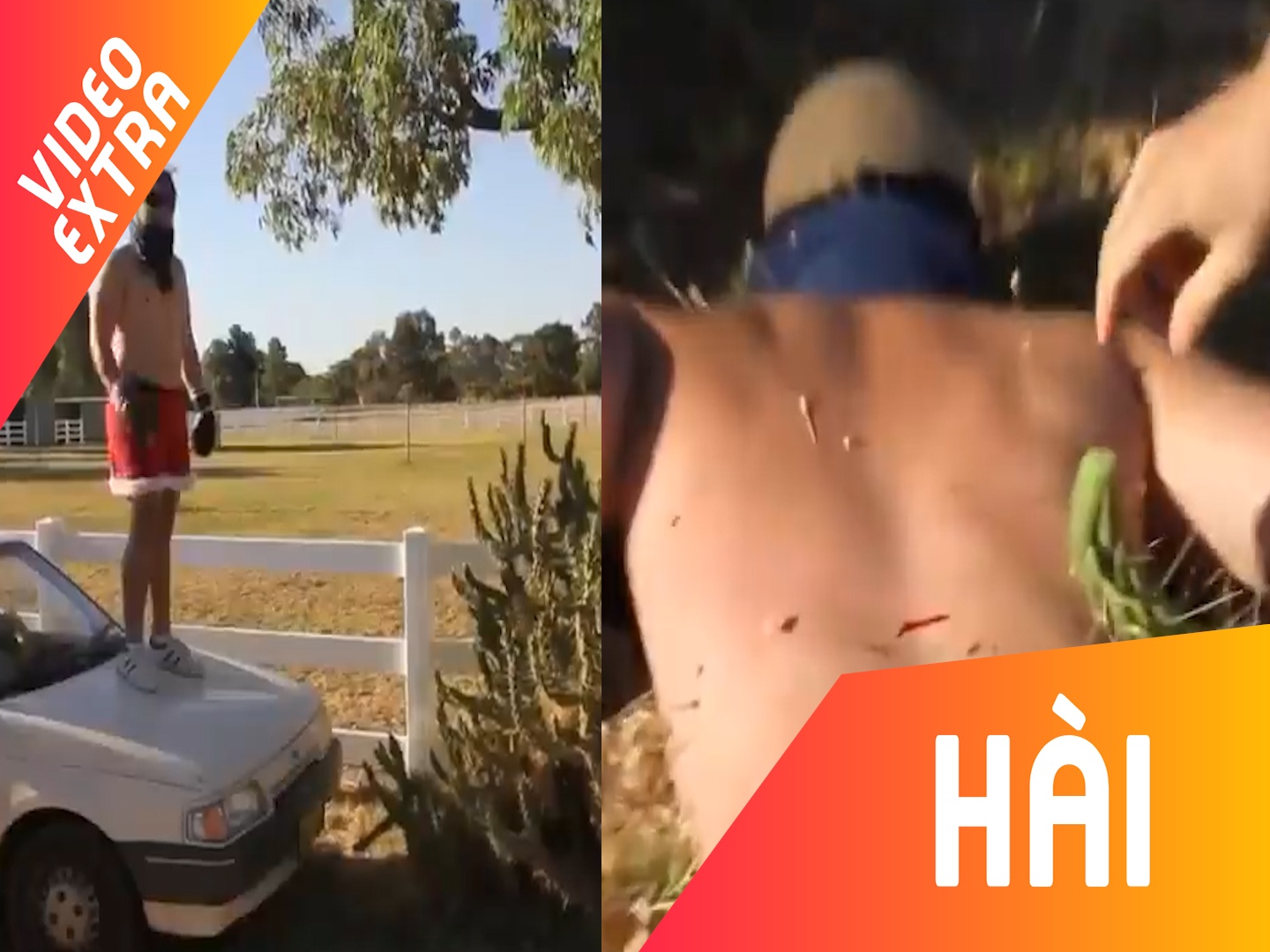 Anh chang 'ty thi' voi cay xuong rong va cai ket dau don hinh anh