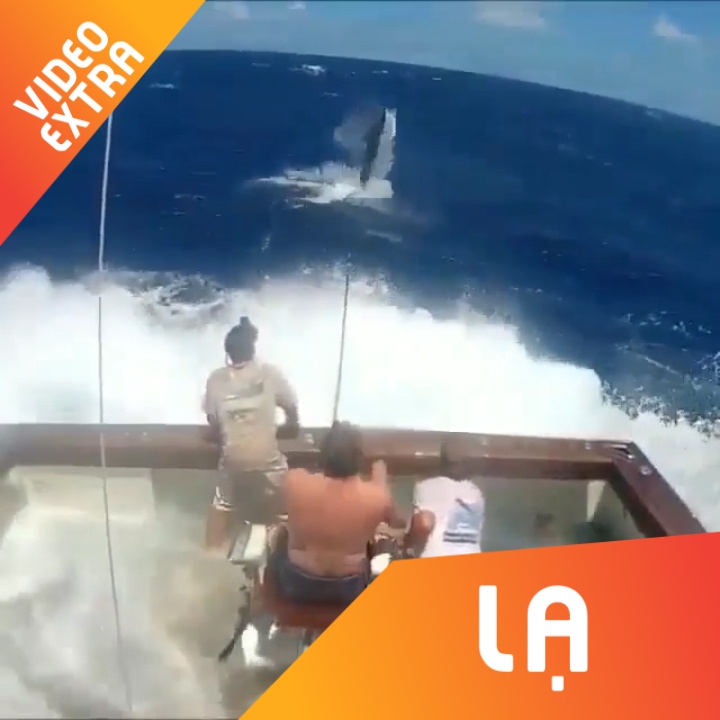 3 nguoi dan ong cau ca khong lo giua bien lon hinh anh