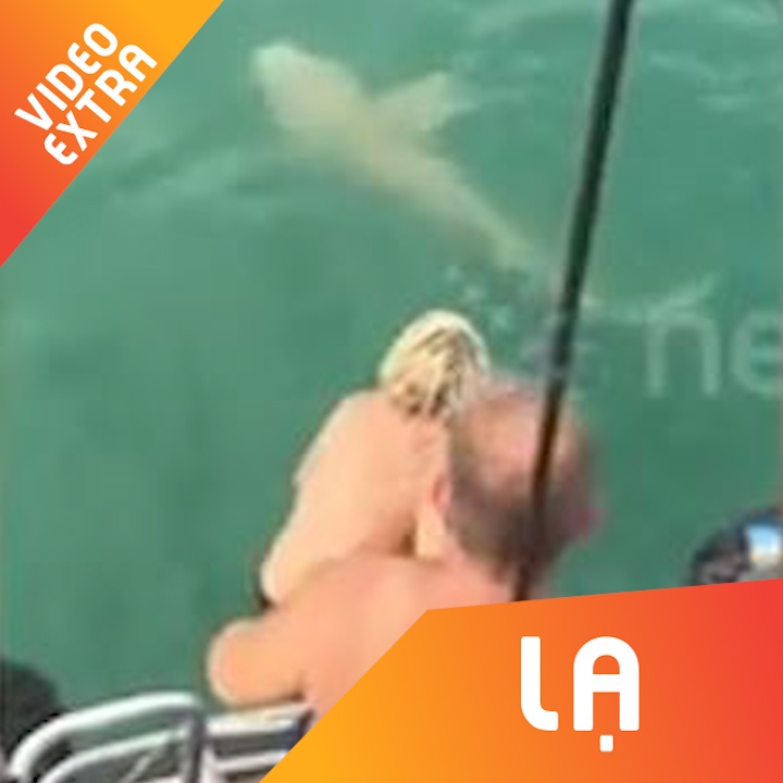 Nhay xuong bien bat ca map, nguoi dan ong tra gia dat hinh anh